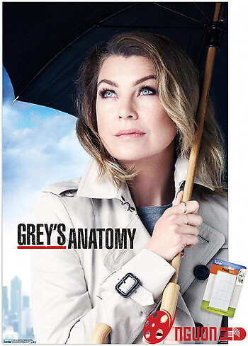 Ca Phẫu Thuật Của Grey (Phần 15)