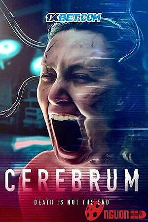 Cerebrum