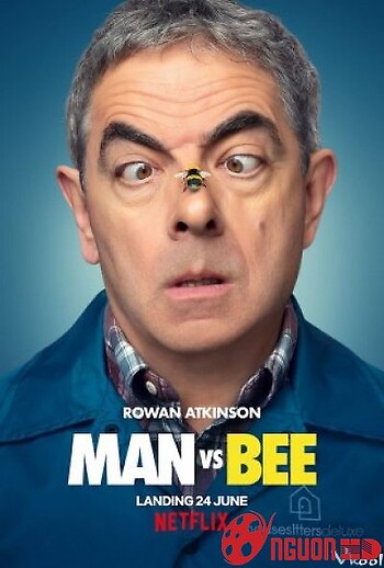 Cuộc Chiến Và Người Ong