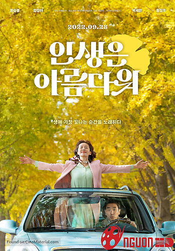 Đưa Em Tìm Mối Tình Đầu