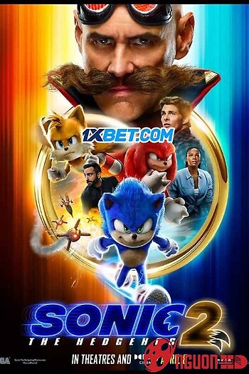 Nhím Sonic 2