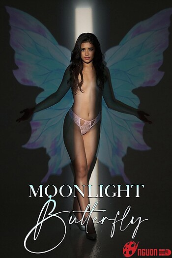 Bướm Ánh Trăng