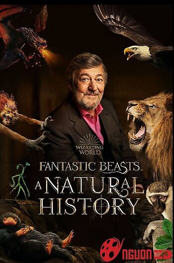 Fantastic Beasts: A Natural History
