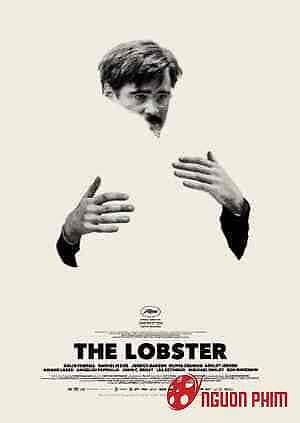 45 Ngày Định Mệnh