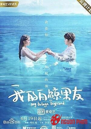 Bạn Trai Cá Voi Của Tôi