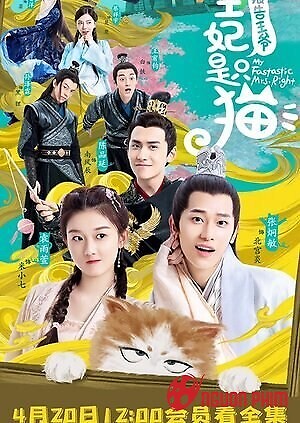 Báo Cáo Vương Gia Vương Phi Là Một Con Mèo