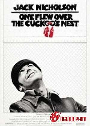 Bay Qua Tổ Chim Cúc Cu