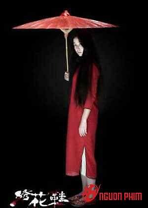 Bí Ẩn Giày Tú Hoa