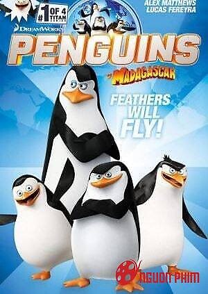 Biệt Đội Chim Cánh Cụt Vùng Madagascar