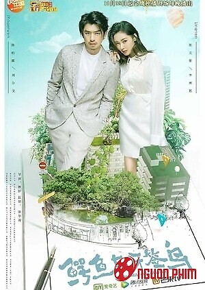 Cá Sấu Và Chim Choi Choi