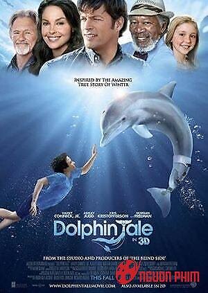 Câu Chuyện Cá Heo