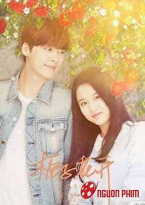 Cây Dành Dành Nở Hoa