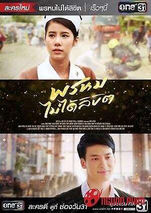 Chẳng Phải Định Mệnh Của Nhau