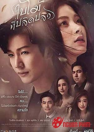 Chiếc Lá Cuốn Bay