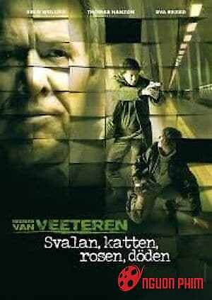 Chim Én Mèo Hoa Hồng Và Cái Chết