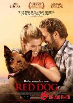 Chú Chó Trung Thành