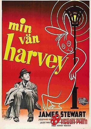 Chú Thỏ Harvey