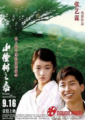 Chuyện Tình Cây Táo Gai