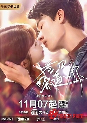 Cô Gái Nhìn Thấy Mùi Hương