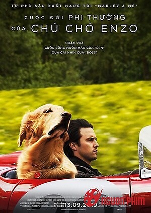 Cuộc Đời Phi Thường Của Chú Chó Enzo