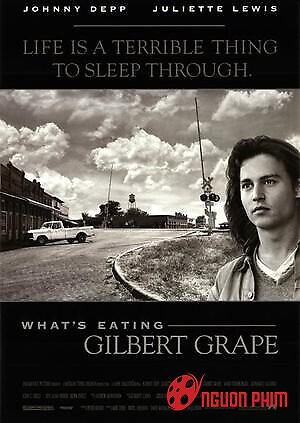Điều Gì Đang Ăn Mòn Gilbert Grape