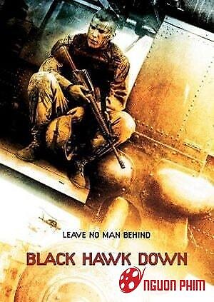 Diều Hâu Đen Gãy Cánh