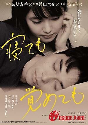 Dù Ngủ Hay Thức