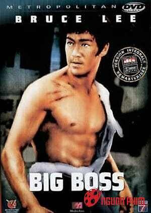 Đường Sơn Đại Huynh