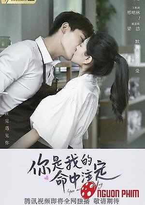 Em Là Định Mệnh Đời Anh