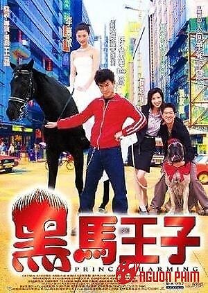 Hắc Mã Hoàng Tử