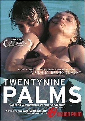 Hai Mươi Chín Cây Cọ