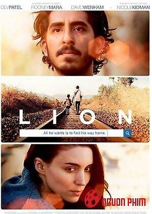 Hành Trình Tìm Mẹ