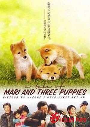 Mari Và 3 Chú Chó Nhỏ