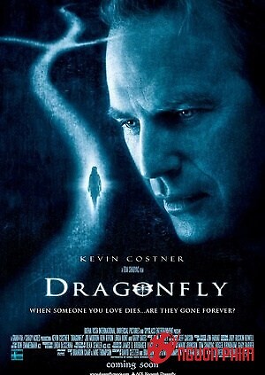 Mật Hiệu Chuồn Chuồn