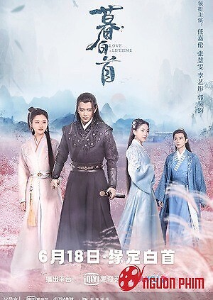 Mỹ Nhân Mộ Bạch Thủ