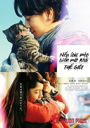 Nếu Loài Mèo Biến Mất Khỏi Thế Giới