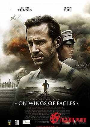 Như Đôi Cánh Đại Bàng