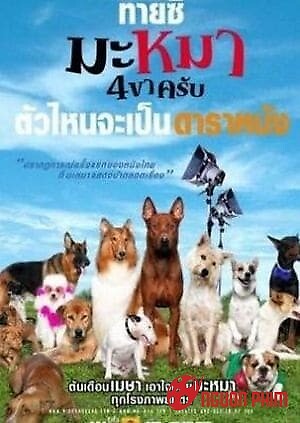 Những Chú Chó Bất Hạnh