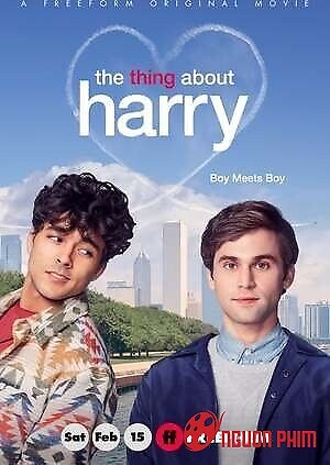 Những Điều Về Harry