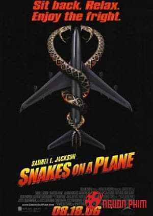 Rắn Độc Trên Không