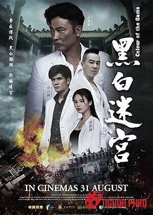 Sắc Màu Của Cuộc Chiến