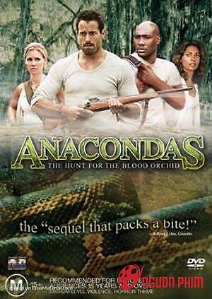 Săn Lùng Huyết Lan