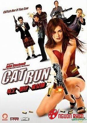 Sát Thủ Mèo Hoang