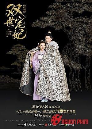 Song Thế Sủng Phi