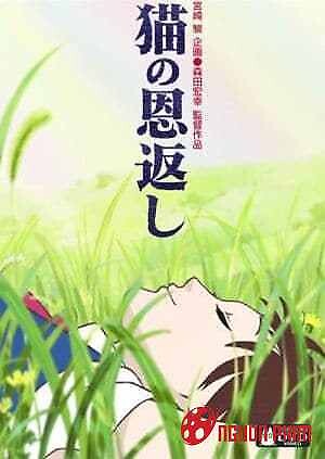 Sự Biết Ơn Của Bầy Mèo