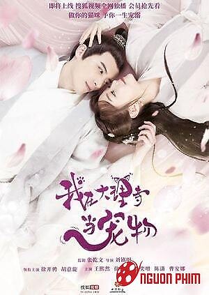 Ta Ở Đại Lý Tự Làm Thú Cưng