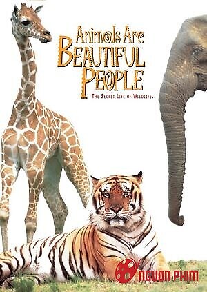 Thế Giới Loài Vật Sống Động