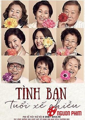 Tình Bạn Tuổi Xế Chiều