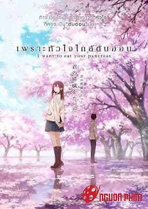 Tớ Muốn Ăn Tụy Của Cậu