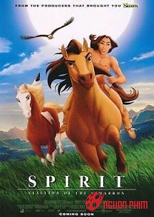 Tuấn Mã Dòng Cimarron